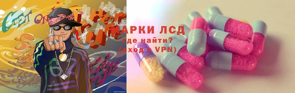 PSILOCYBIN Алзамай