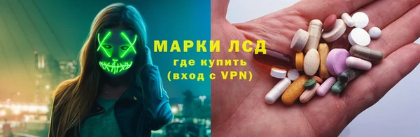 PSILOCYBIN Алзамай