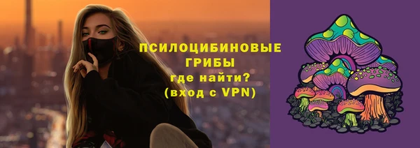 PSILOCYBIN Алзамай