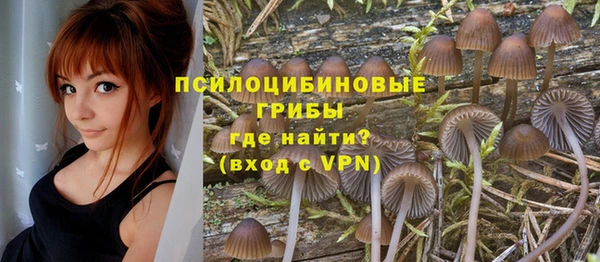 PSILOCYBIN Алзамай