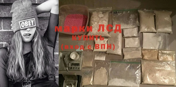PSILOCYBIN Алзамай