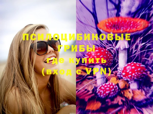 PSILOCYBIN Алзамай