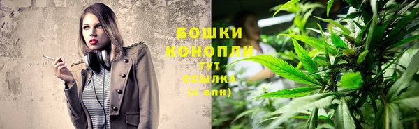 PSILOCYBIN Алзамай