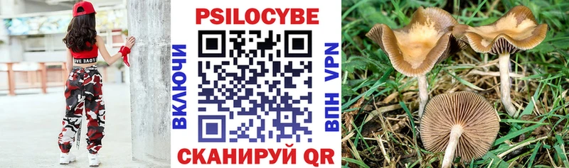 Галлюциногенные грибы GOLDEN TEACHER Аксай